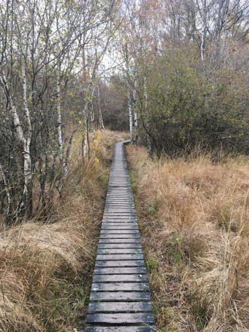 Landhausidylle Simmerath Eksteriør bilde