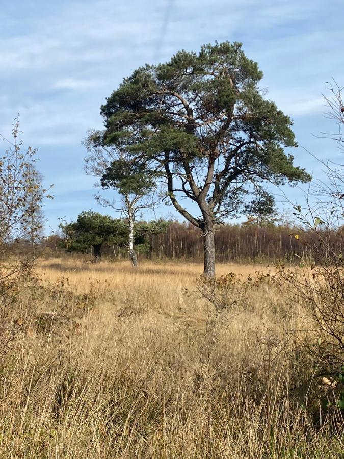 Landhausidylle Simmerath Eksteriør bilde